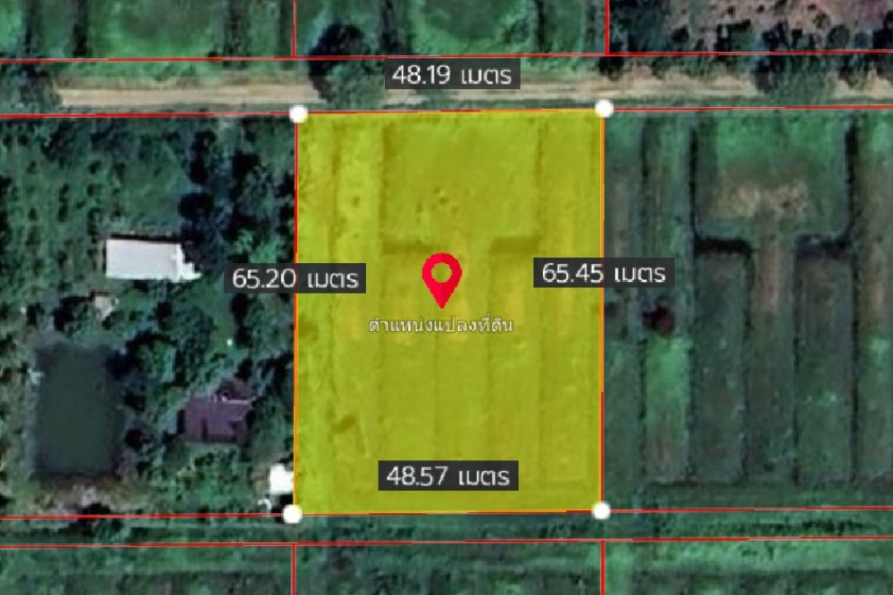 ภาพหน้าจอ_031925_112822_AM