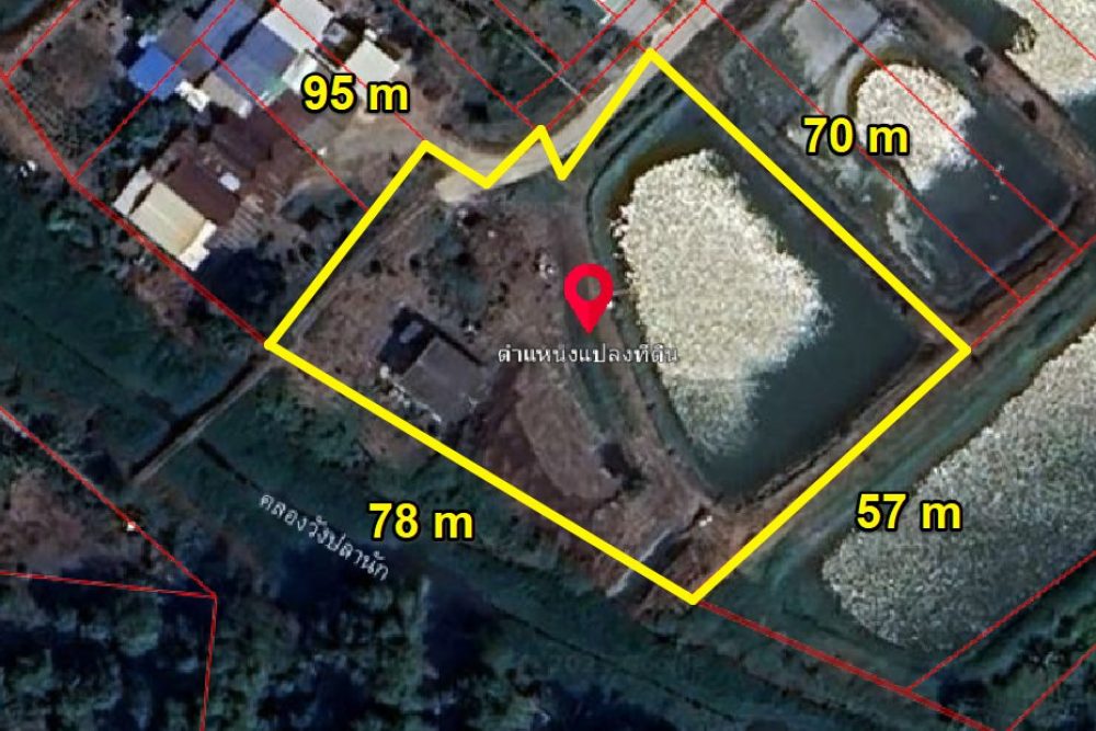 ภาพหน้าจอ_031925_114815_AM