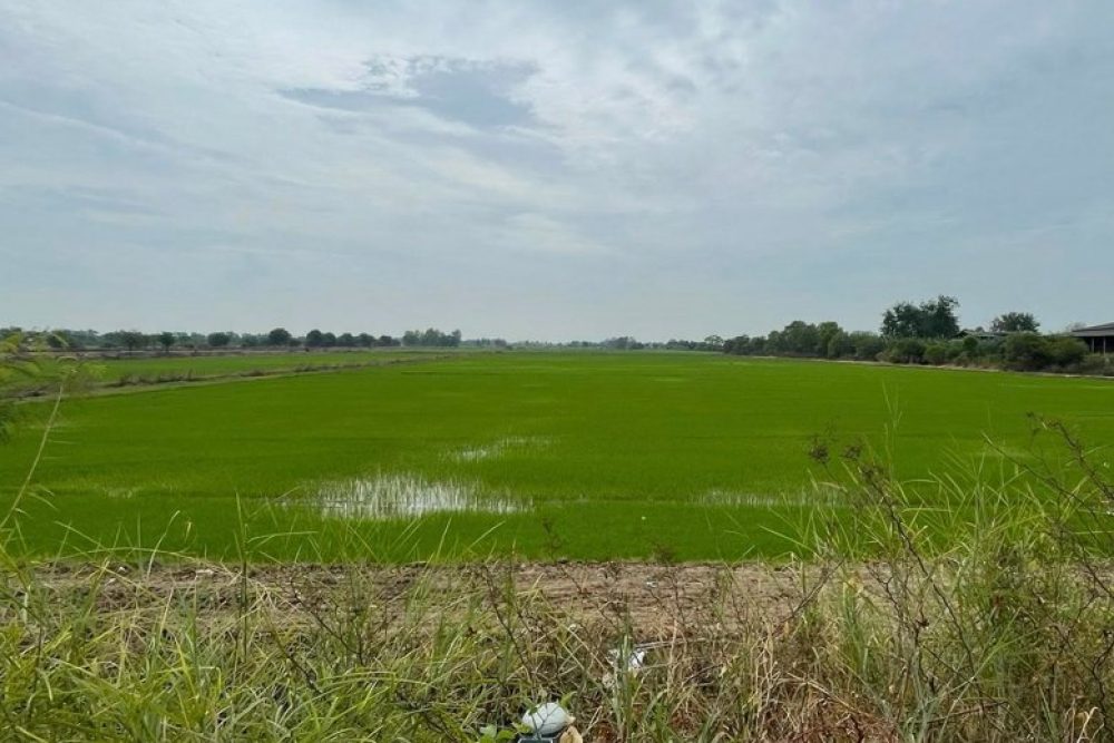 ภาพหน้าจอ_032026_103733_AM