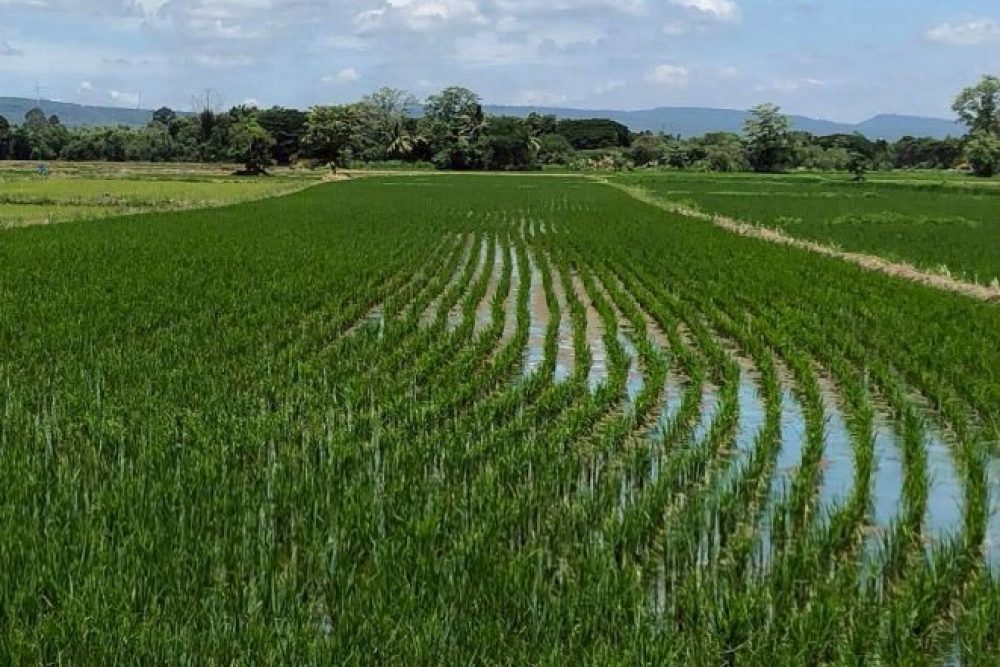 ภาพหน้าจอ_032126_033004_PM