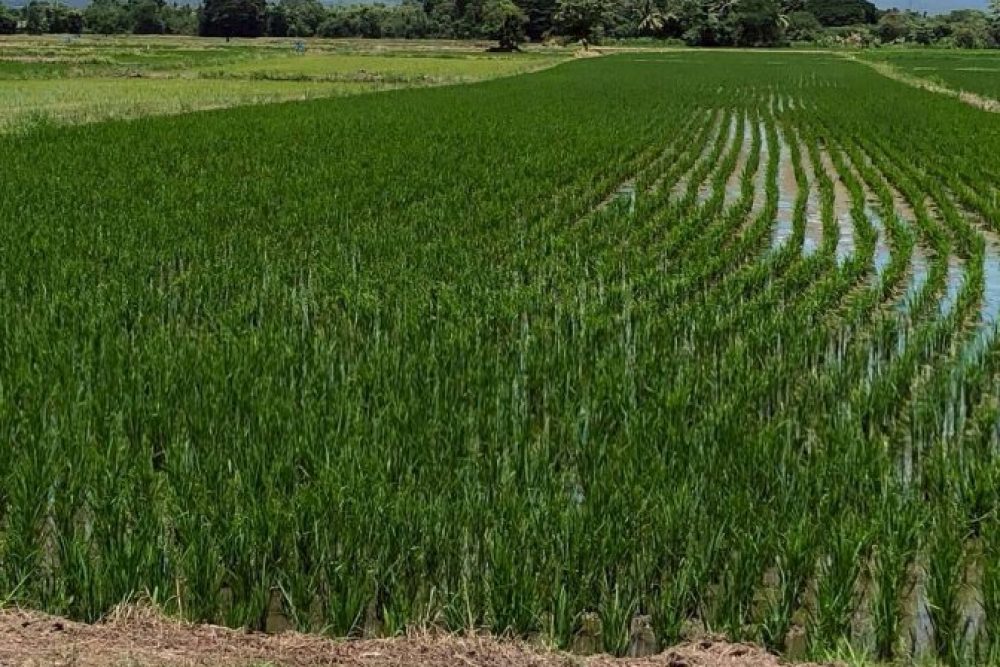 ภาพหน้าจอ_032126_033017_PM