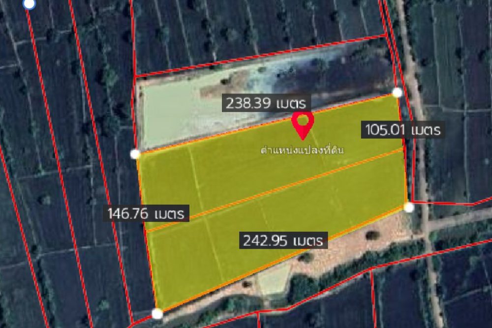 ภาพหน้าจอ_032425_105129_AM