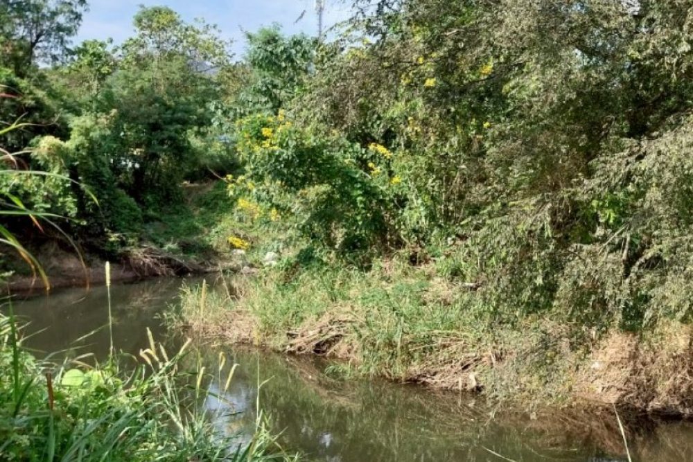 ภาพหน้าจอ_032426_091916_AM