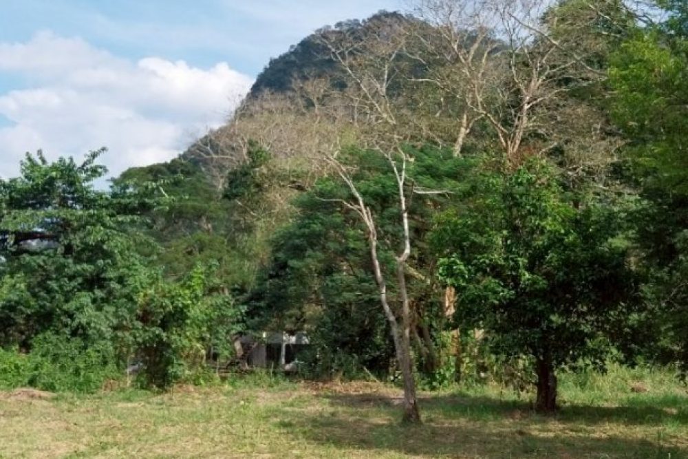 ภาพหน้าจอ_032426_091930_AM