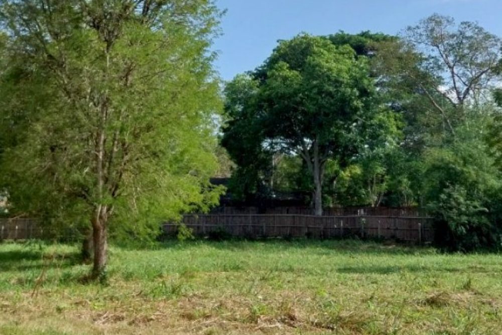 ภาพหน้าจอ_032426_091950_AM