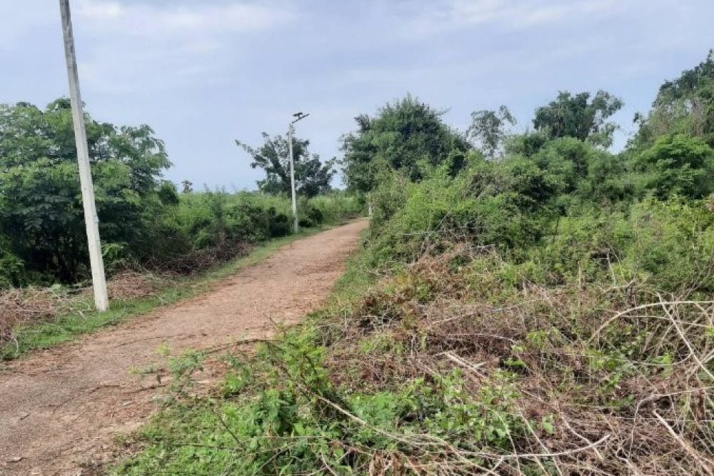 ภาพหน้าจอ_032626_114317_AM