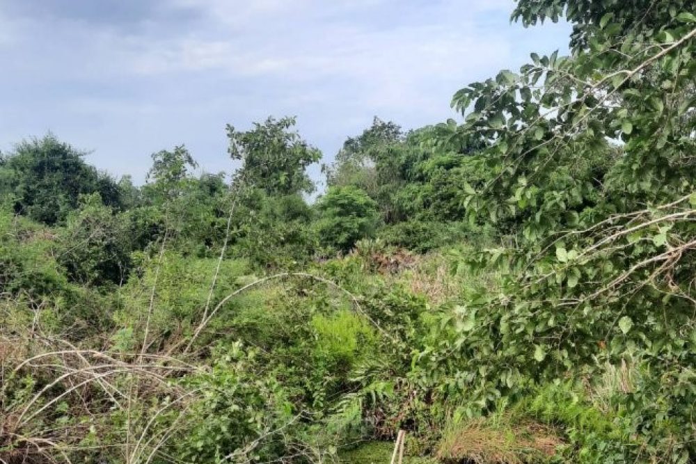 ภาพหน้าจอ_032626_114328_AM