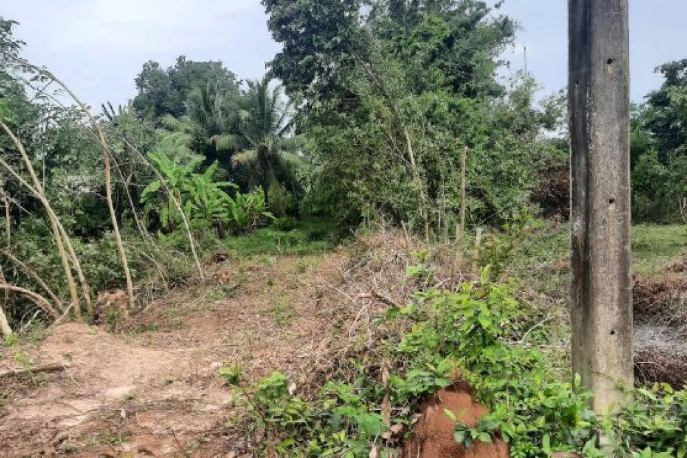 ภาพหน้าจอ_032626_114341_AM