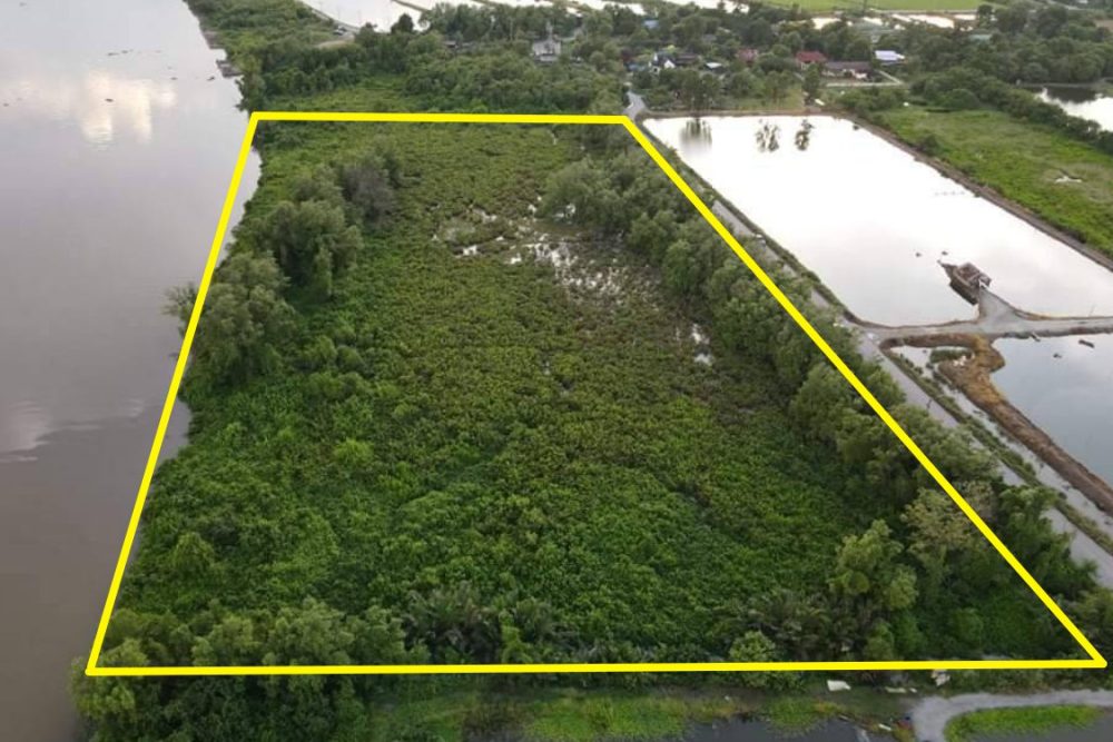 ภาพหน้าจอ_032724_111401_AM