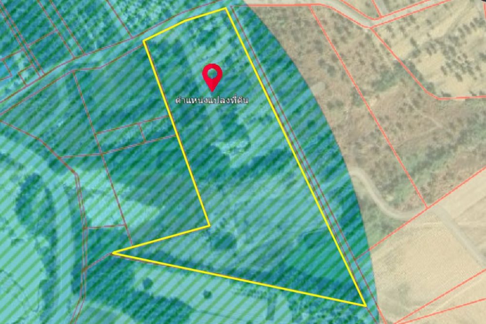 ภาพหน้าจอ_040225_031847_PM