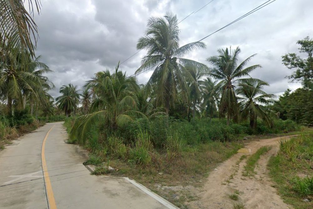 ภาพหน้าจอ_040225_032116_PM