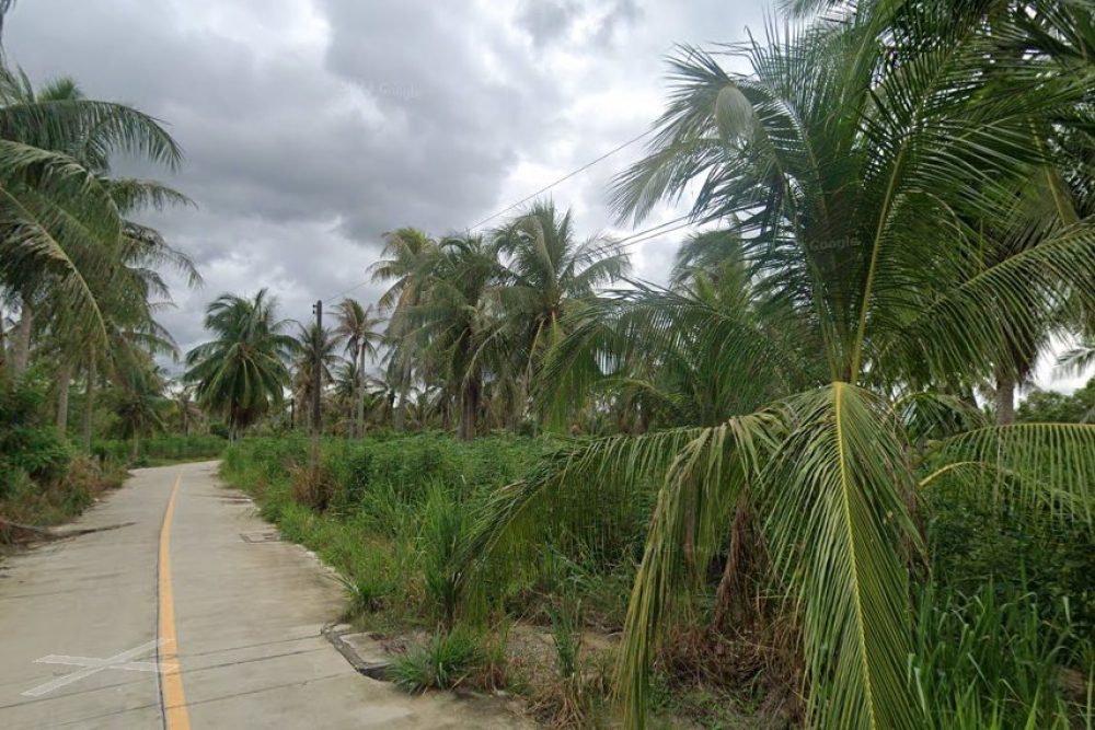 ภาพหน้าจอ_040225_032128_PM