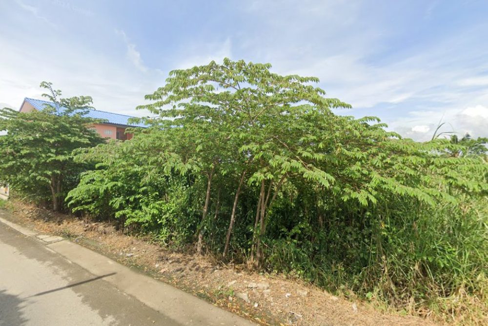 ภาพหน้าจอ_040725_114920_AM