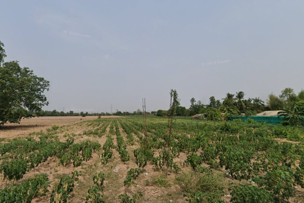 ภาพหน้าจอ_040825_024124_PM