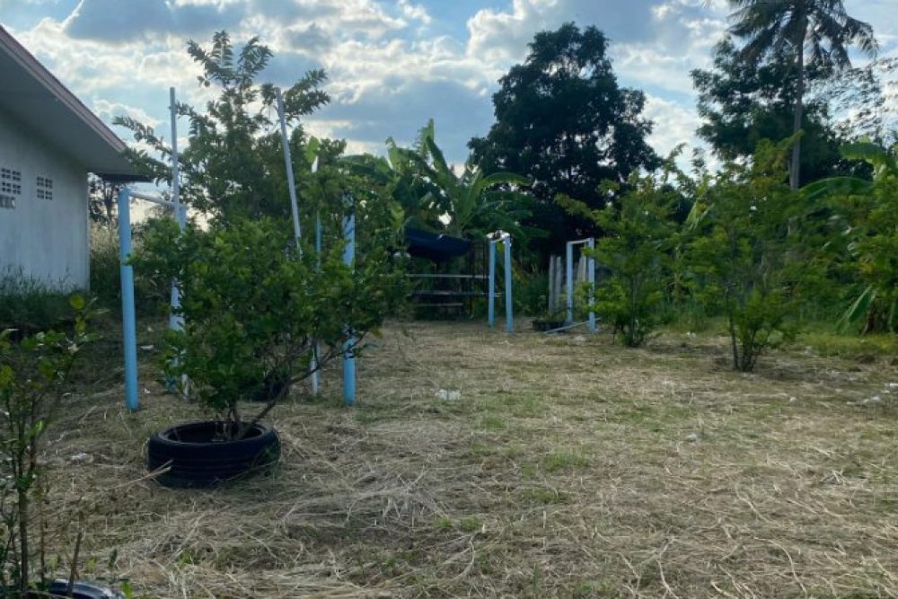 ภาพหน้าจอ_040926_083320_AM