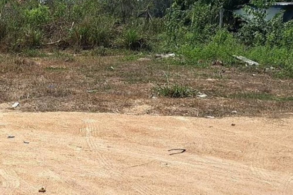 ภาพหน้าจอ_041026_013346_PM