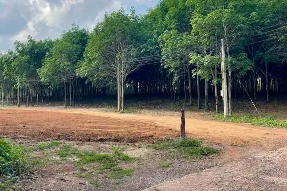 ภาพหน้าจอ_042226_013109_PM88