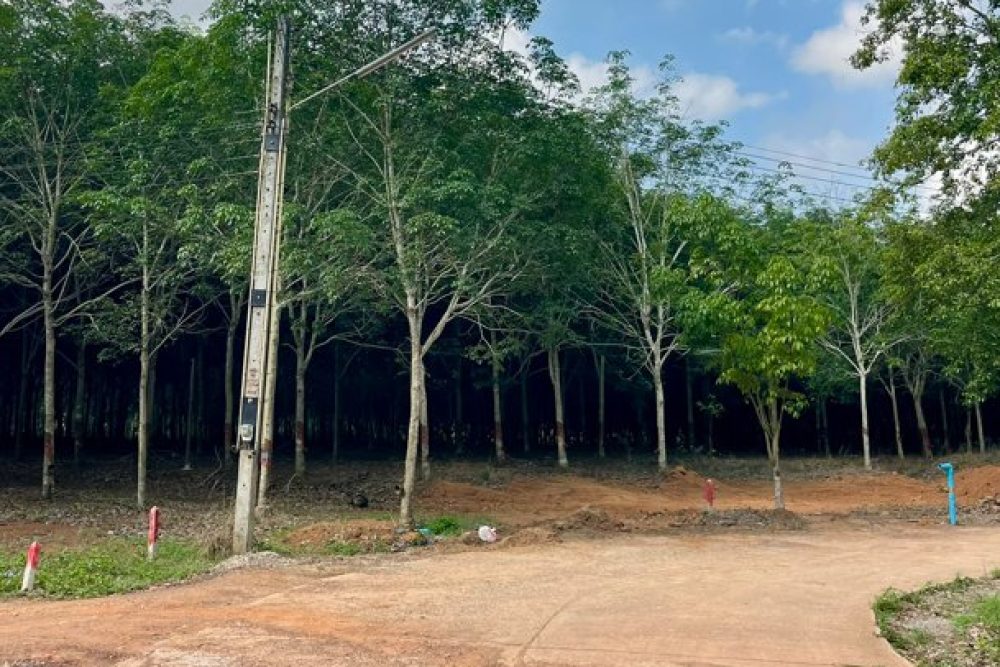 ภาพหน้าจอ_042226_013303_PM