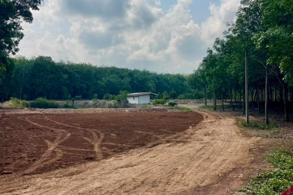 ภาพหน้าจอ_042226_013316_PM