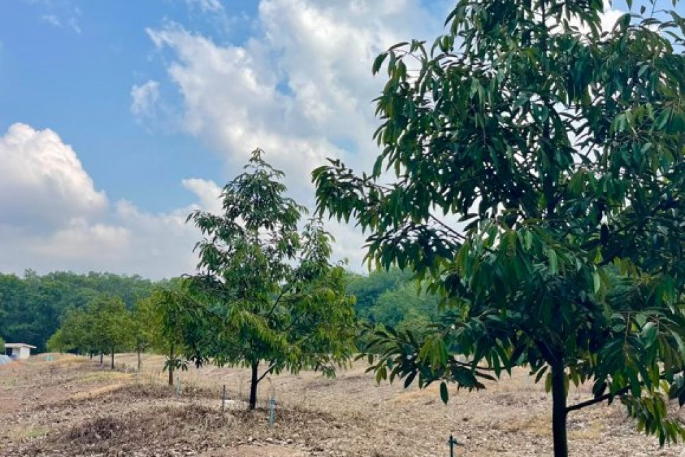 ภาพหน้าจอ_042226_013458_PM