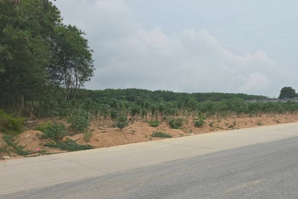 ภาพหน้าจอ_042226_032111_PM