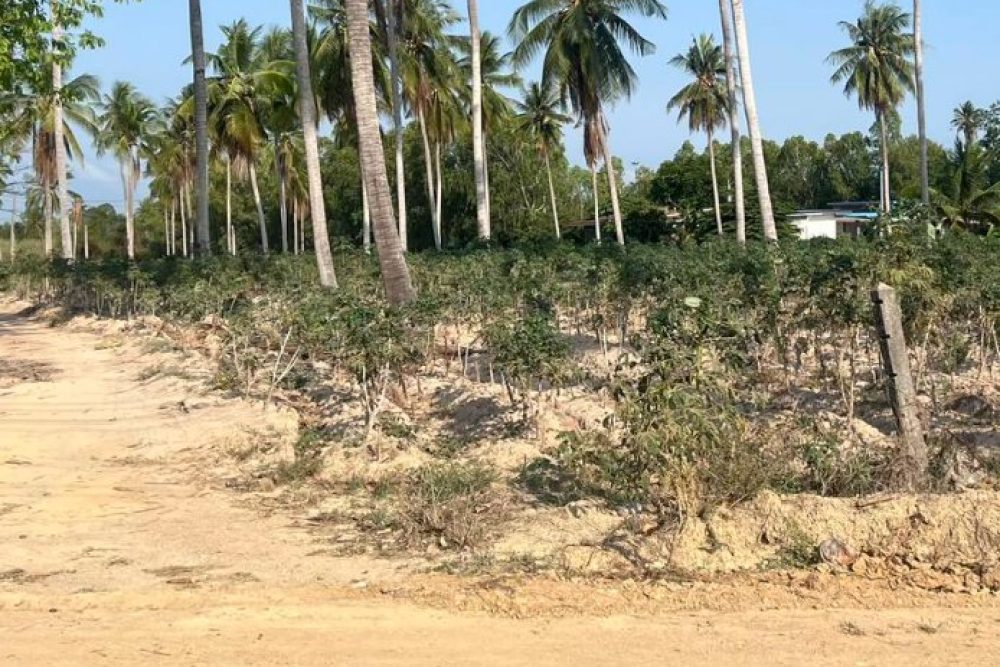 ภาพหน้าจอ_042326_092050_AM