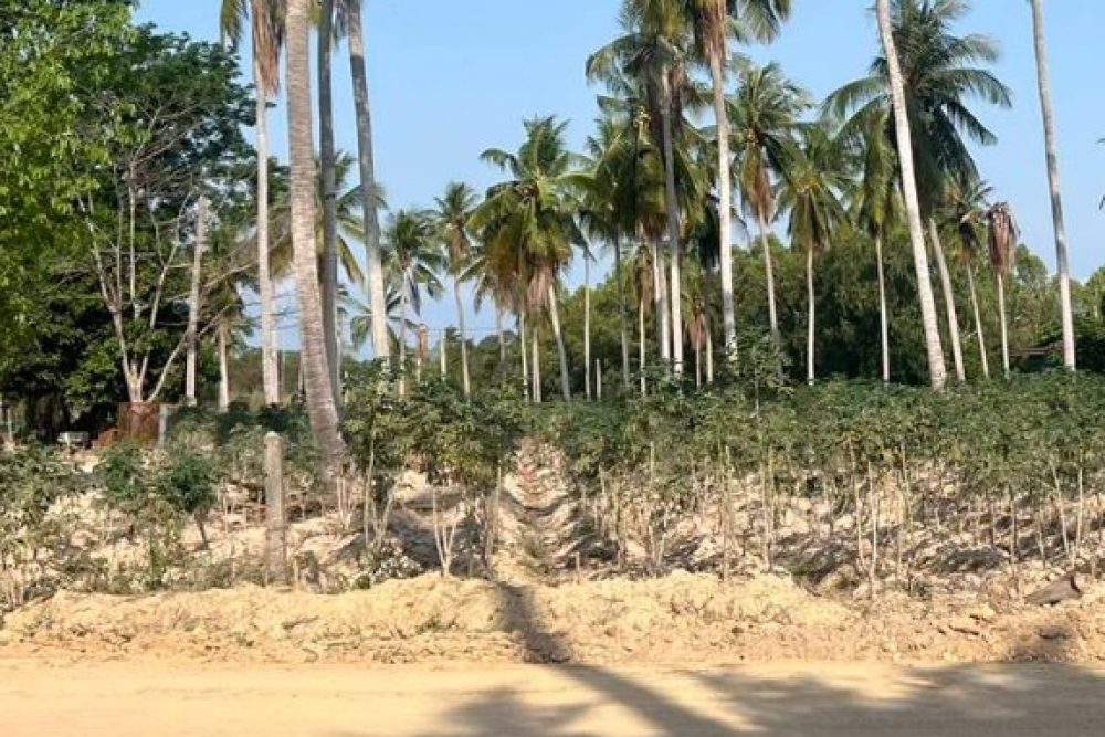 ภาพหน้าจอ_042326_092103_AM