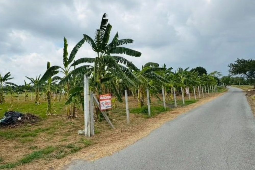 ภาพหน้าจอ_042726_042139_PM