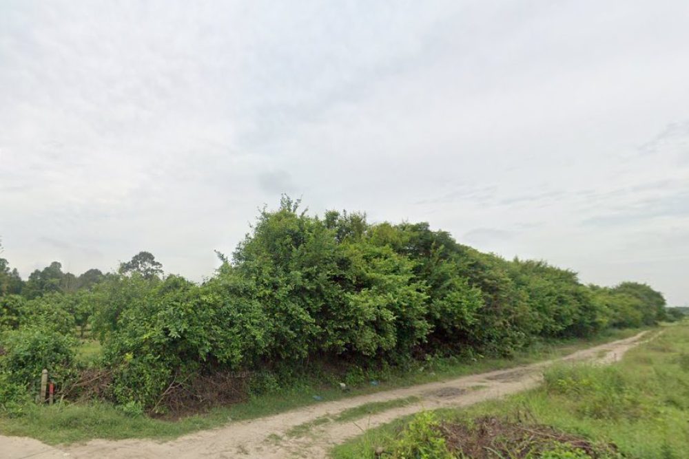 ภาพหน้าจอ_042925_030132_PM