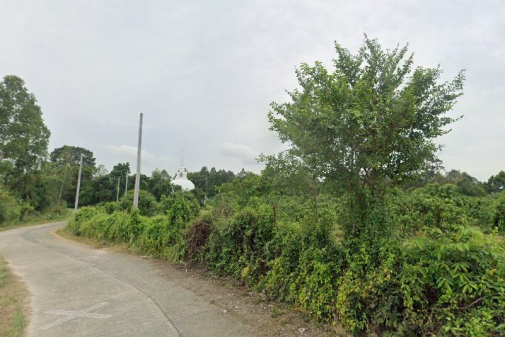 ภาพหน้าจอ_042925_030145_PM