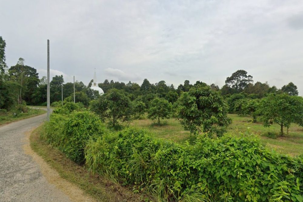 ภาพหน้าจอ_042925_030222_PM