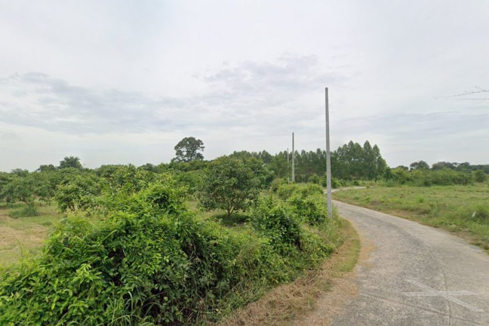 ภาพหน้าจอ_042925_030243_PM