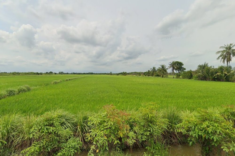 ภาพหน้าจอ_042925_094902_AM