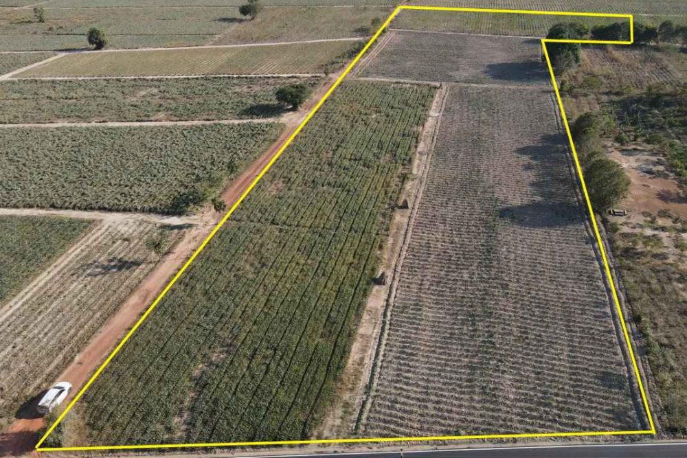 ภาพหน้าจอ_042926_010239_PM12