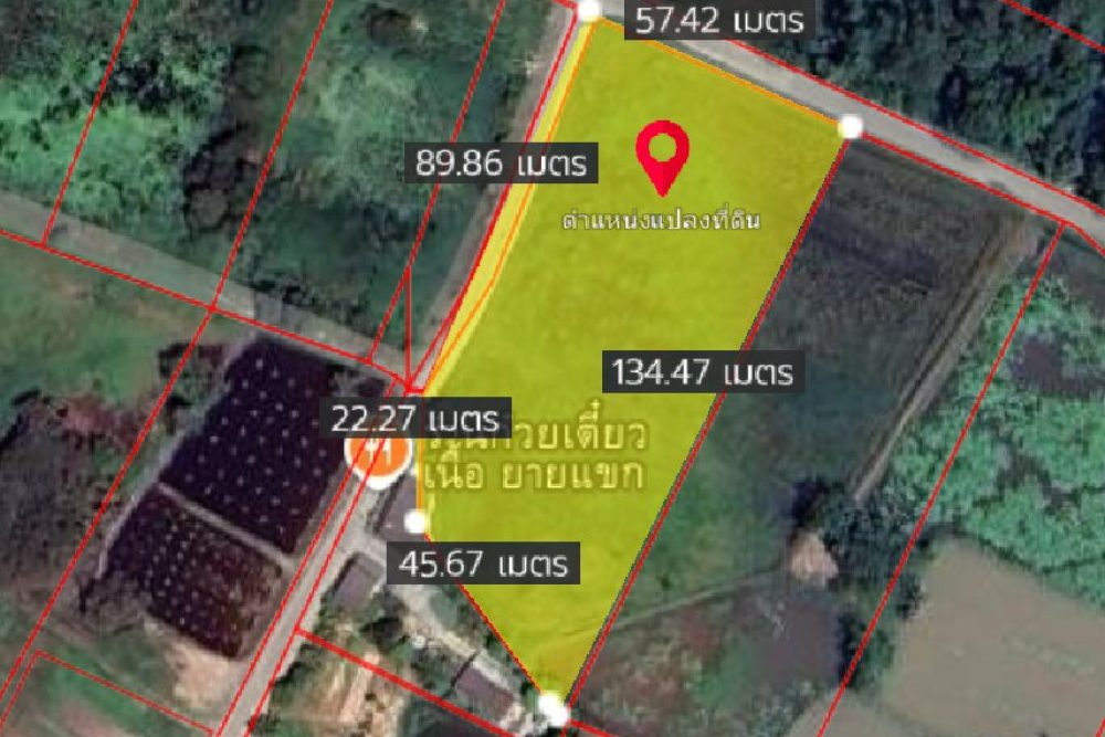 ภาพหน้าจอ_043025_045413_PM