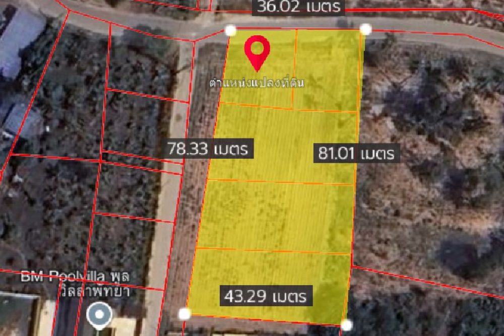 ภาพหน้าจอ_050325_024253_PM