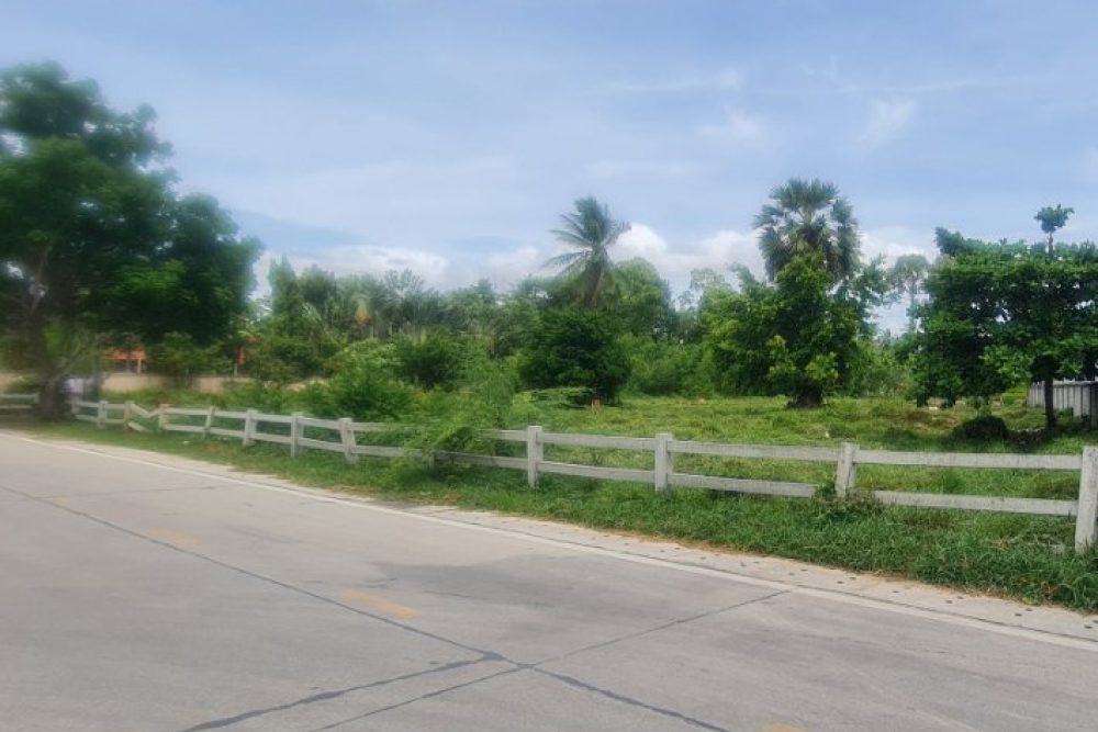 ภาพหน้าจอ_050325_111548_AM