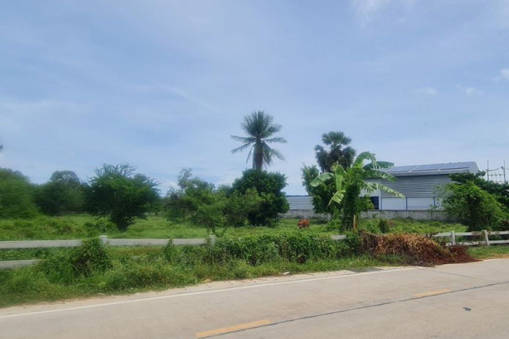 ภาพหน้าจอ_050325_111613_AM