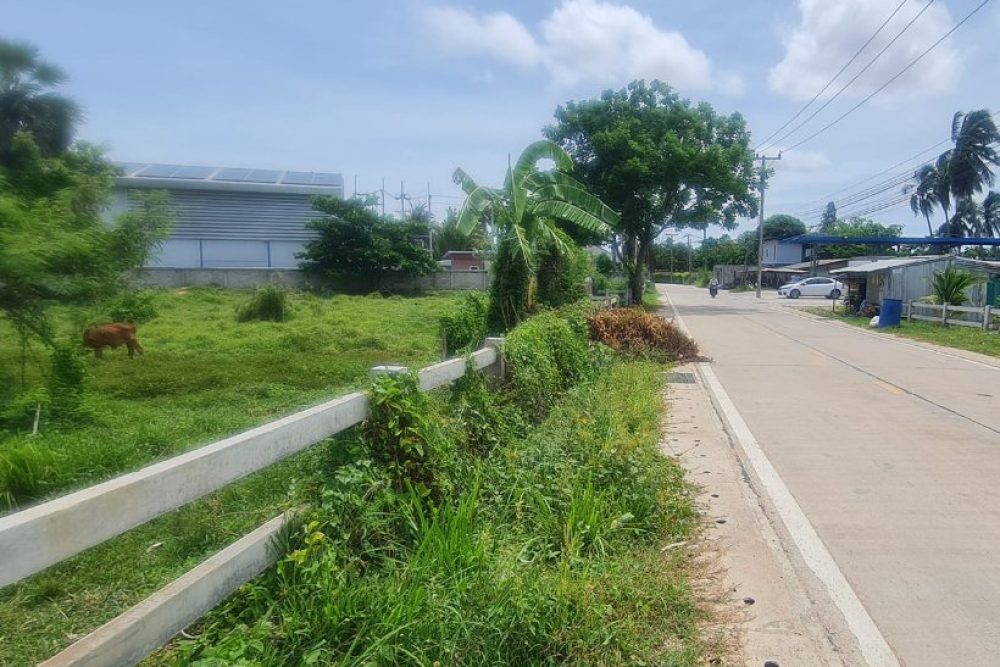 ภาพหน้าจอ_050325_111634_AM