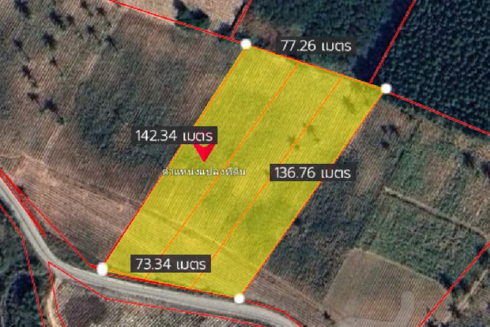 ภาพหน้าจอ_050625_040259_PM