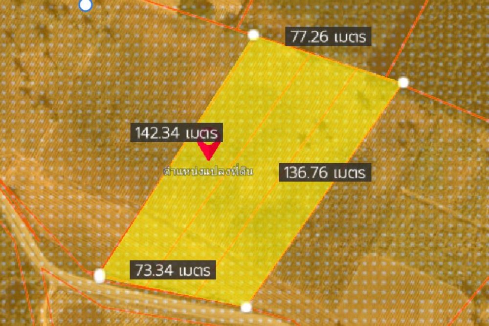 ภาพหน้าจอ_050625_040315_PM