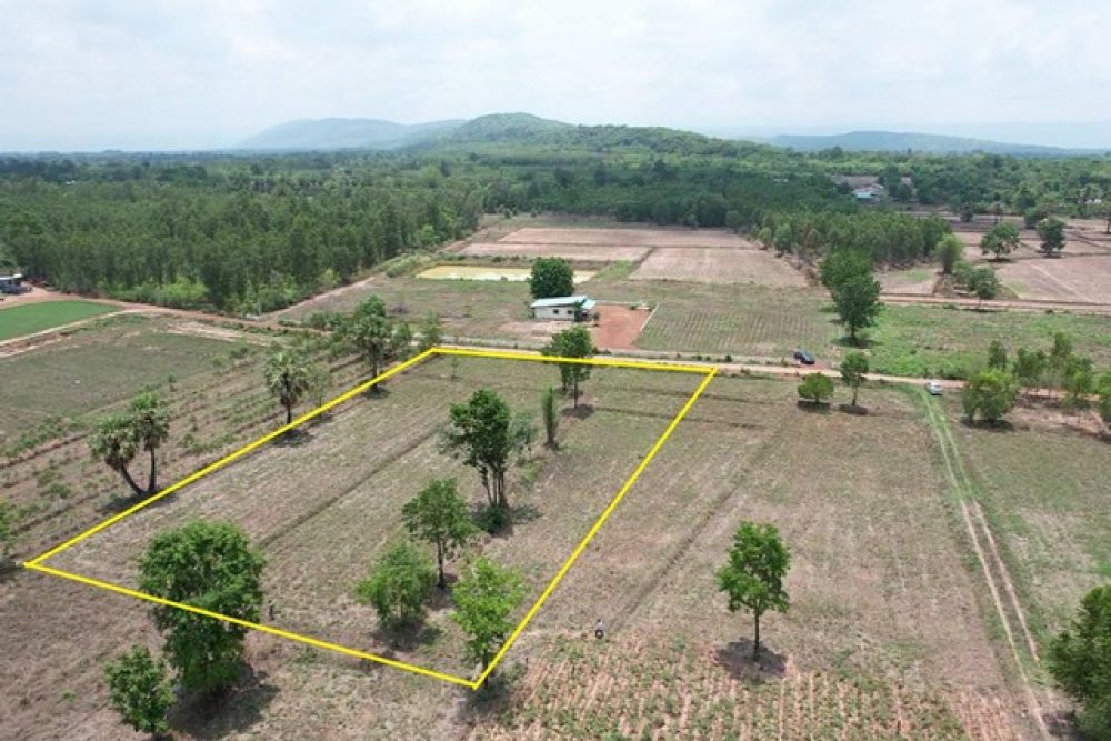 ภาพหน้าจอ_052124_093632_AM_NEW