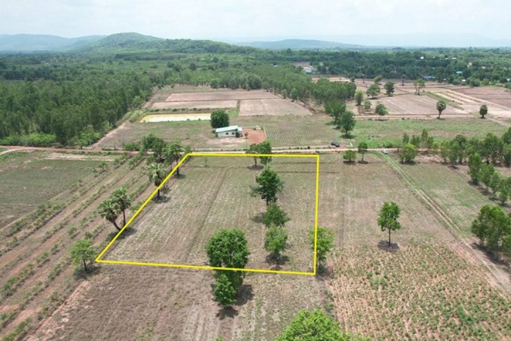 ภาพหน้าจอ_052124_093713_AM_NEW