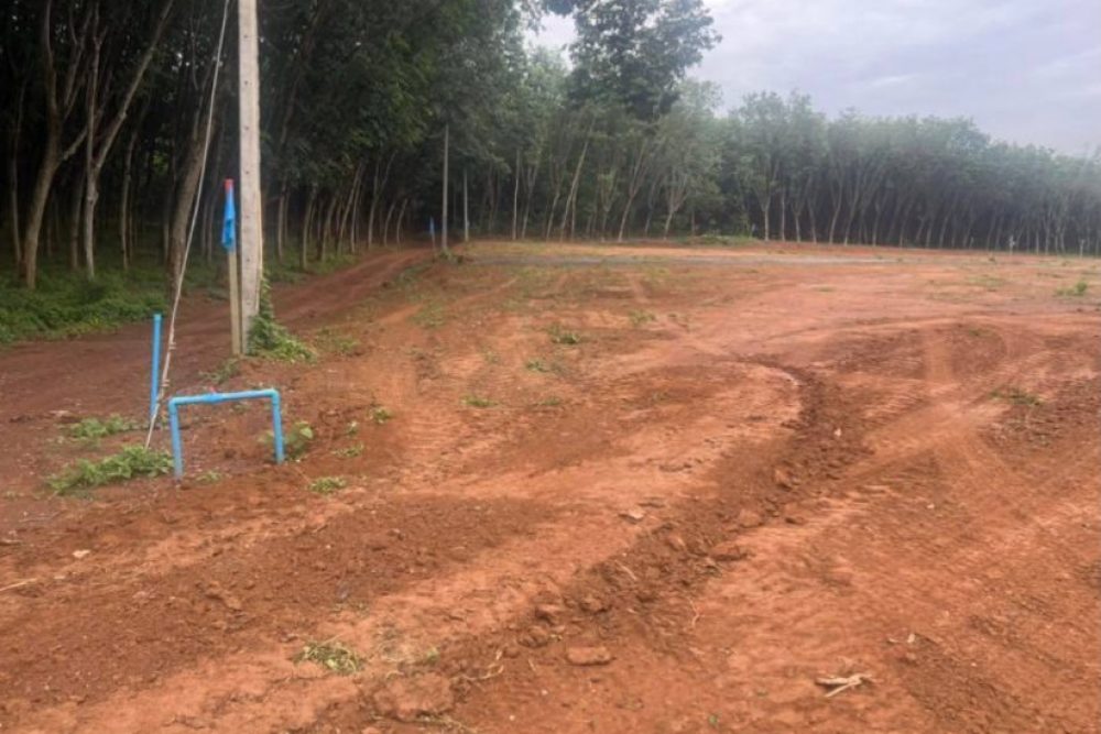 ภาพหน้าจอ_052224_032832_PM