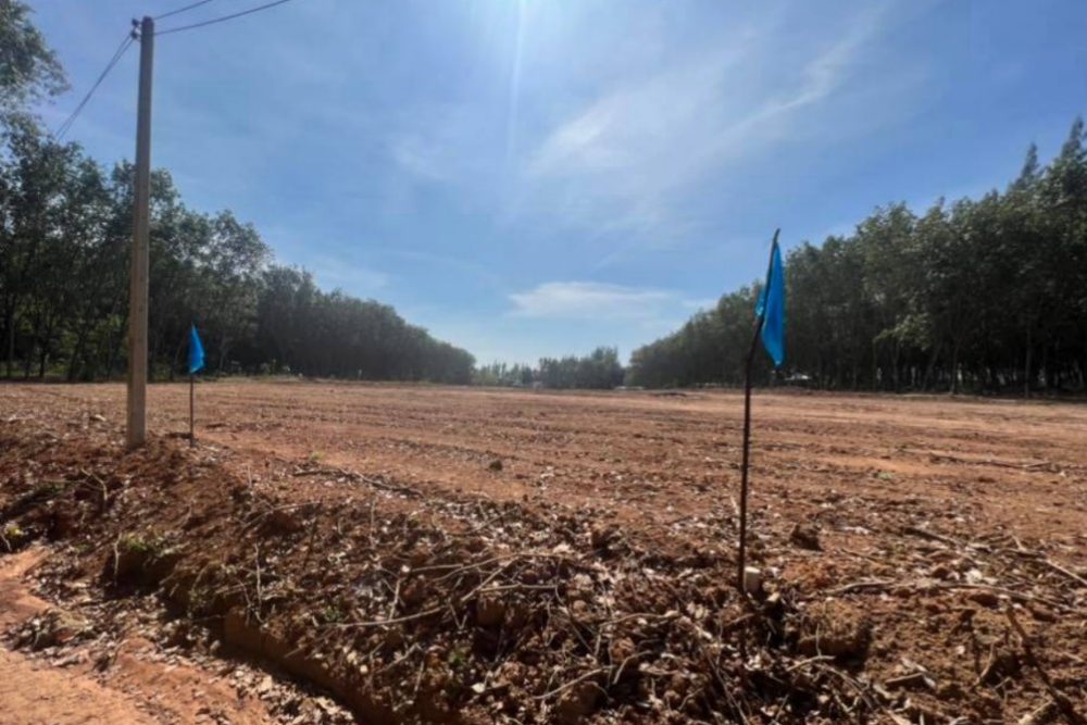 ภาพหน้าจอ_052224_032929_PM