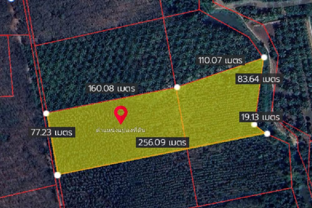 ภาพหน้าจอ_052425_023544_PM