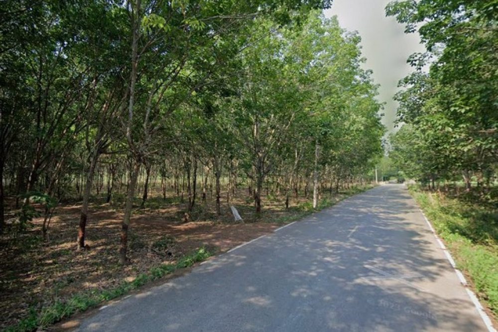 ภาพหน้าจอ_052425_023733_PM_NEW