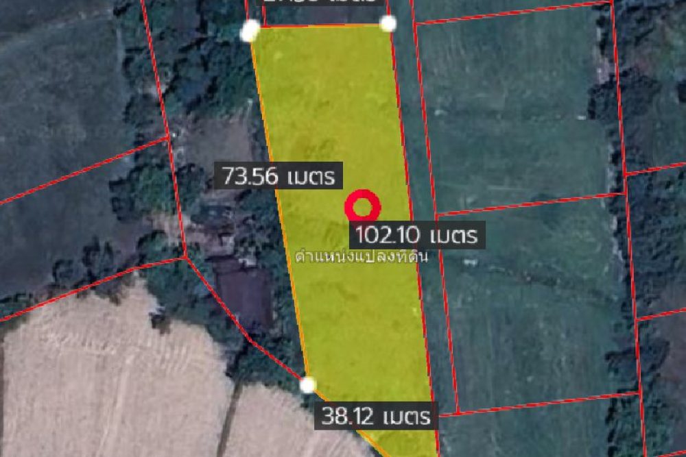 ภาพหน้าจอ_052625_023459_PM