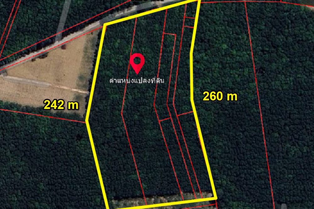 ภาพหน้าจอ_052625_032252_PM