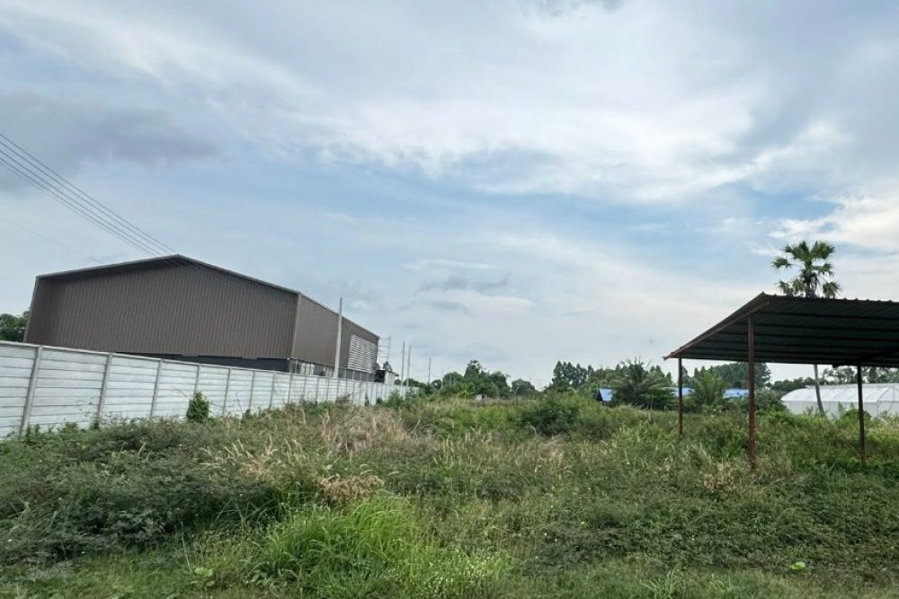 ภาพหน้าจอ_060325_030112_PM